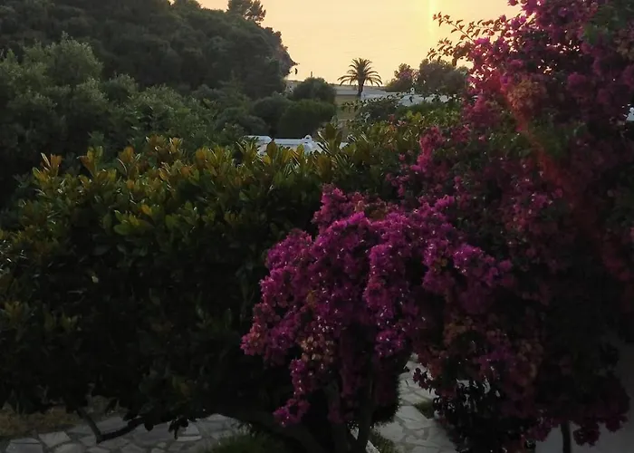 Hébergement de vacances Sunset Escape